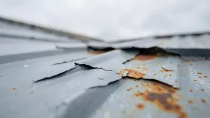 farby do blachy dachowej